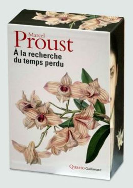 Picture of A LA RECHERCHE DU TEMPS PERDU - NOUVELLE EDITION (100 AN)